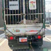 ヒメ日記 2025/05/23 21:18 投稿 にいがき 丸妻 厚木店