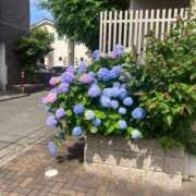 ヒメ日記 2025/06/06 08:48 投稿 にいがき 丸妻 厚木店