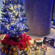 ヒメ日記 2025/12/19 20:17 投稿 しらき 丸妻 厚木店