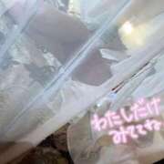 ヒメ日記 2025/07/31 12:54 投稿 ひなた ウルトラハピネス