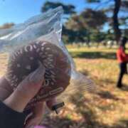 ひなた 元気があれば😆❣️ ウルトラハピネス