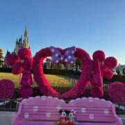 ヒメ日記 2026/01/28 10:39 投稿 ひなた ウルトラハピネス