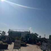 ヒメ日記 2026/03/31 10:59 投稿 ひなた ウルトラハピネス