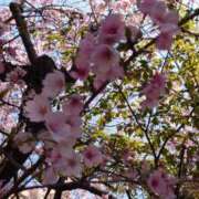 ヒメ日記 2025/03/26 21:46 投稿 杏(あん) 立川人妻研究会