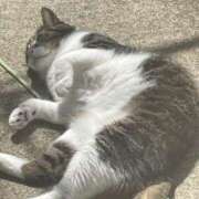 ヒメ日記 2025/04/11 16:59 投稿 鹿野ゆりな 池袋パラダイス