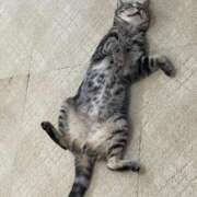 ヒメ日記 2025/08/26 11:28 投稿 鹿野ゆりな 池袋パラダイス