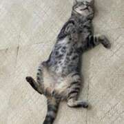 ヒメ日記 2025/08/26 11:39 投稿 鹿野ゆりな 池袋パラダイス