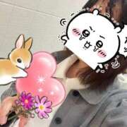 ヒメ日記 2025/11/04 12:23 投稿 鹿野ゆりな 池袋パラダイス