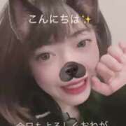 ヒメ日記 2026/07/12 13:00 投稿 鹿野ゆりな 池袋パラダイス