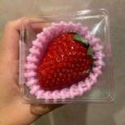 ヒメ日記 2025/02/03 17:36 投稿 ノノ ルパン