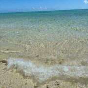 ヒメ日記 2025/09/25 22:08 投稿 ノノ ルパン