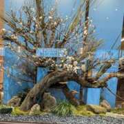 ヒメ日記 2026/01/04 10:31 投稿 葉月ももこ ミセス大阪十三店