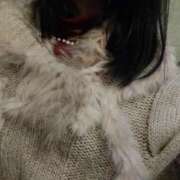 ヒメ日記 2024/12/11 16:00 投稿 うみ ぷるるん小町日本橋店