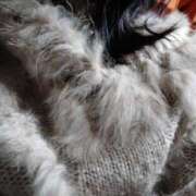 ヒメ日記 2024/12/29 16:30 投稿 うみ ぷるるん小町日本橋店