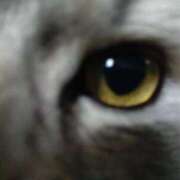 ヒメ日記 2024/12/30 16:03 投稿 うみ ぷるるん小町日本橋店