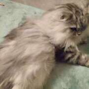 ヒメ日記 2025/01/02 18:00 投稿 うみ ぷるるん小町日本橋店