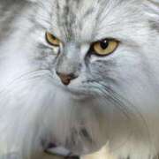 ヒメ日記 2025/01/22 16:30 投稿 うみ ぷるるん小町日本橋店