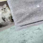 ヒメ日記 2025/01/22 17:31 投稿 うみ ぷるるん小町日本橋店