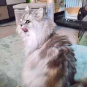 ヒメ日記 2025/02/03 20:00 投稿 うみ ぷるるん小町日本橋店