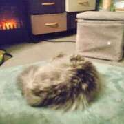 ヒメ日記 2025/02/05 19:30 投稿 うみ ぷるるん小町日本橋店