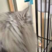 ヒメ日記 2025/02/06 23:30 投稿 うみ ぷるるん小町日本橋店