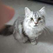 ヒメ日記 2025/02/16 19:00 投稿 うみ ぷるるん小町日本橋店