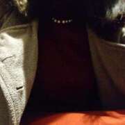 ヒメ日記 2025/02/19 17:00 投稿 うみ ぷるるん小町日本橋店