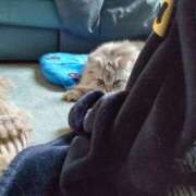 ヒメ日記 2025/02/19 19:00 投稿 うみ ぷるるん小町日本橋店