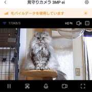 ヒメ日記 2025/02/19 19:30 投稿 うみ ぷるるん小町日本橋店