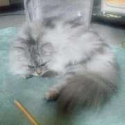 ヒメ日記 2025/04/13 17:00 投稿 うみ ぷるるん小町日本橋店