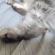 ヒメ日記 2025/04/16 17:00 投稿 うみ ぷるるん小町日本橋店