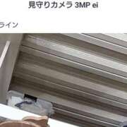 ヒメ日記 2025/04/24 16:30 投稿 うみ ぷるるん小町日本橋店