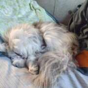 ヒメ日記 2025/04/27 17:00 投稿 うみ ぷるるん小町日本橋店