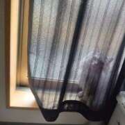 ヒメ日記 2025/05/15 15:45 投稿 うみ ぷるるん小町日本橋店