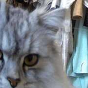 ヒメ日記 2025/06/01 17:00 投稿 うみ ぷるるん小町日本橋店