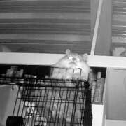 ヒメ日記 2025/07/07 19:00 投稿 うみ ぷるるん小町日本橋店