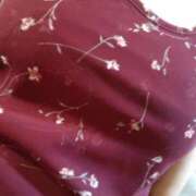 ヒメ日記 2025/07/10 15:30 投稿 うみ ぷるるん小町日本橋店