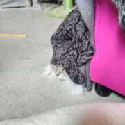 ヒメ日記 2025/09/01 17:30 投稿 うみ ぷるるん小町日本橋店