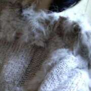 ヒメ日記 2025/12/08 17:45 投稿 うみ ぷるるん小町日本橋店