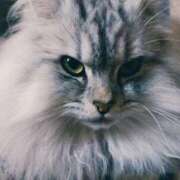 ヒメ日記 2025/12/22 16:30 投稿 うみ ぷるるん小町日本橋店