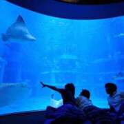 ヒメ日記 2025/12/24 18:00 投稿 うみ ぷるるん小町日本橋店