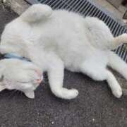 ヒメ日記 2026/03/15 17:32 投稿 うみ ぷるるん小町日本橋店