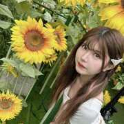 ヒメ日記 2025/08/20 18:09 投稿 ひまり ピュアコス学園