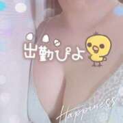 ヒメ日記 2024/12/18 10:36 投稿 ひかり ゴールドクイーン