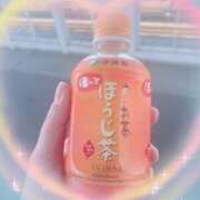 ヒメ日記 2025/02/24 09:21 投稿 ひかり ゴールドクイーン