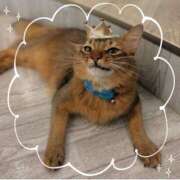 ヒメ日記 2025/04/10 09:40 投稿 ひかり ゴールドクイーン