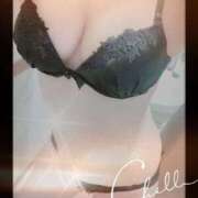 ヒメ日記 2025/06/16 21:33 投稿 ひかり ゴールドクイーン