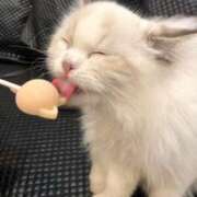 ヒメ日記 2025/08/23 10:32 投稿 ひかり ゴールドクイーン