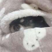 ヒメ日記 2026/01/23 09:25 投稿 ひかり ゴールドクイーン