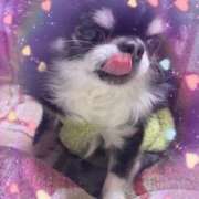 ヒメ日記 2026/01/27 09:16 投稿 ひかり ゴールドクイーン